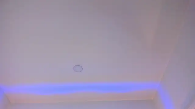 Mara Betancurt online show from 12.27.24