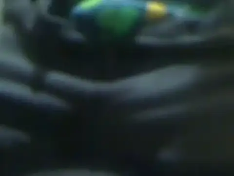 markluvskitty online show from 03.14.25