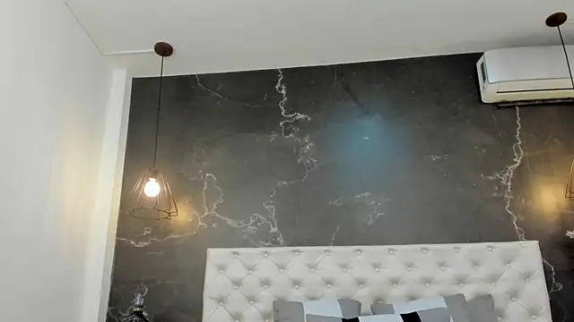 Snapshot of BruceDallas chatting on 02.13.25 BruceDallas online show from 02.13.25