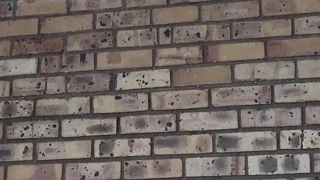 Snapshot of Astoria_Moon chatting on 12.21.24 Astoria Moon online show from 12.21.24