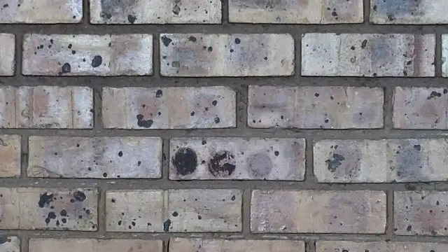 Snapshot of Astoria_Moon chatting on 02.10.25 Astoria Moon online show from 02.10.25