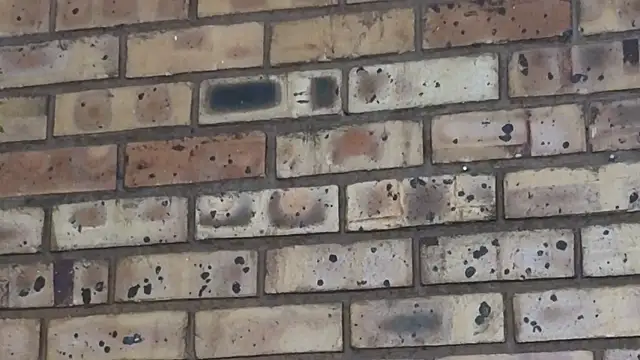 Snapshot of Astoria_Moon chatting on 02.24.25 Astoria Moon online show from 02.24.25