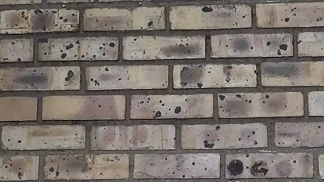 Snapshot of Astoria_Moon chatting on 03.22.25 Astoria Moon online show from 03.22.25