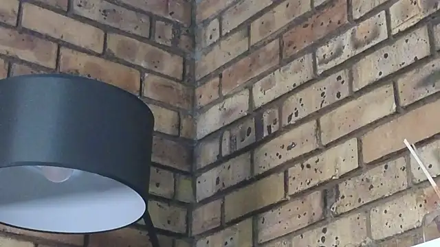 Astoria Moon online show from 01.14.26