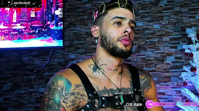 Snapshot of Seth_Owner chatting on 12.27.24 Seth Owner online show from 12.27.24