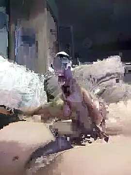 Bi-Sunny online show from 11.17.25