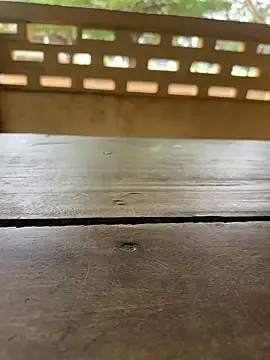 Snapshot of Black-mamba-madingo chatting on 09.29.25 Black-mamba-madingo online show from 09.29.25