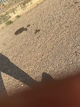 Snapshot of Black-mamba-madingo chatting on 09.30.25 Black-mamba-madingo online show from 09.30.25