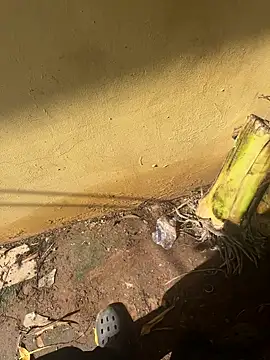 Snapshot of Black-mamba-madingo chatting on 10.10.25 Black-mamba-madingo online show from 10.10.25