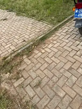 Snapshot of Black-mamba-madingo chatting on 11.01.25 Black-mamba-madingo online show from 11.01.25