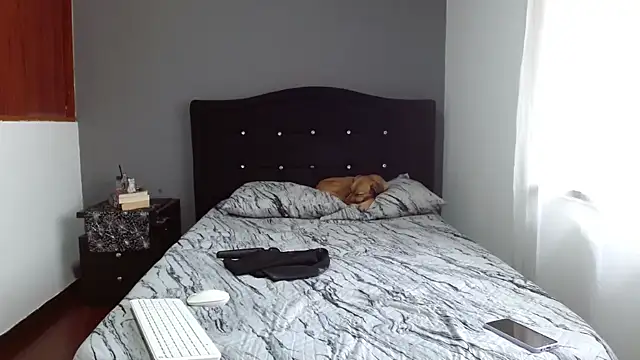 Emilia 1995 online show from 02.13.25