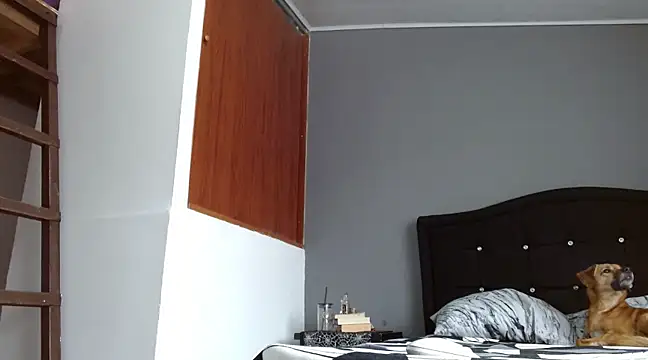 Emilia 1995 online show from 03.16.25