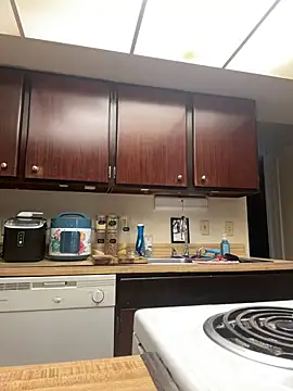 Snapshot of DhaTruth chatting on 03.12.25 DhaTruth online show from 03.12.25