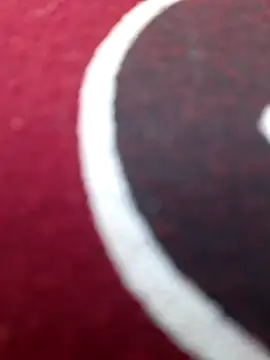 Snapshot of Priya_Bong chatting on 12.15.25 Priya Bong online show from 12.15.25