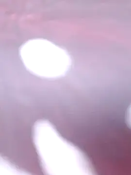 Snapshot of Priya_Bong chatting on 12.16.25 Priya Bong online show from 12.16.25