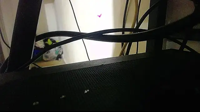 harry lia  online show from 11.05.25