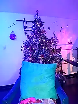 pleasure and fantasy online show from 12.31.24