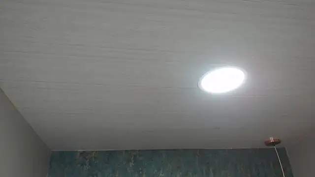 Lilyevansx online show from 10.14.25