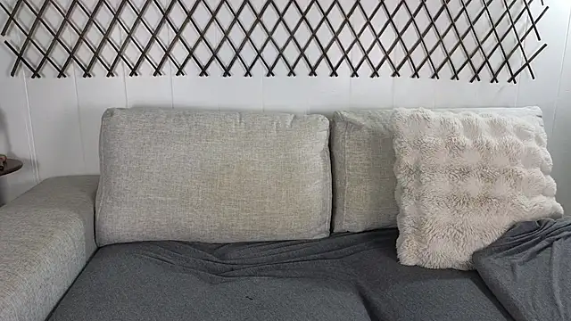 aryafrei online show from 03.02.26