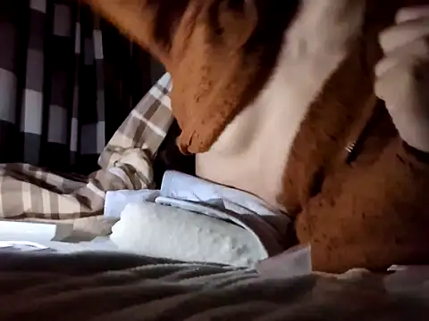 pnp0Japan online show from 01.11.25