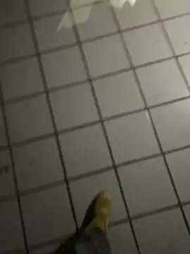 nowex18 online show from 02.20.26