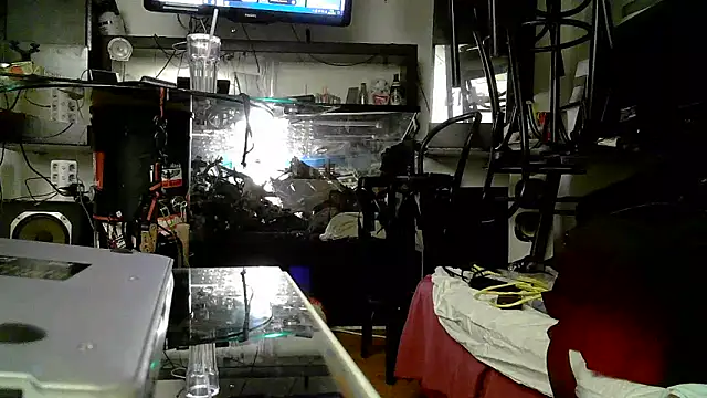 Snapshot of 0815lukas2024 chatting on 11.03.25 0815lukas2024 online show from 11.03.25