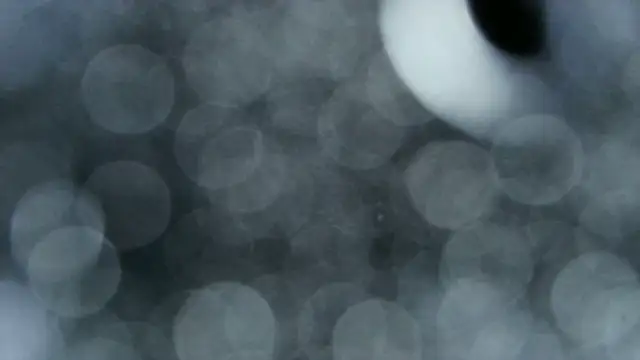 Snapshot of 0815lukas2024 chatting on 12.22.25 0815lukas2024 online show from 12.22.25