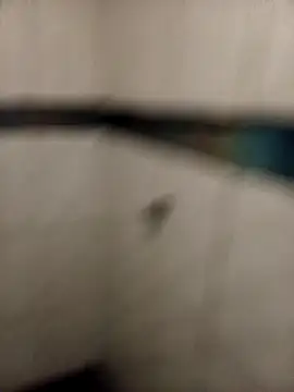 ladygmusic online show from 02.06.26