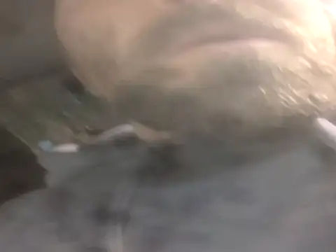 jwiththethickone413 online show from 11.17.25