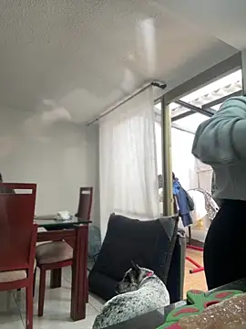 Snapshot of Salome_golvert chatting on 03.02.26 Salome golvert online show from 03.02.26