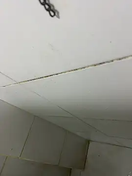 Snapshot of thfrances chatting on 02.27.26 thfrances online show from 02.27.26