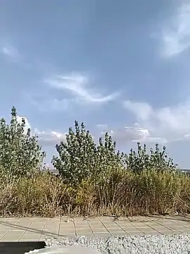 Snapshot of cuplubijoanna chatting on 09.20.25 cuplubijoanna online show from 09.20.25