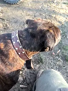 mitulik84 online show from 12.19.25