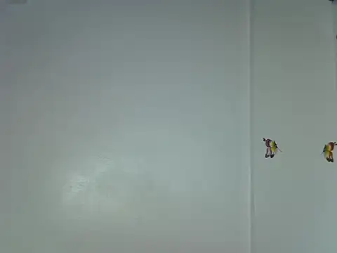 laetitia  online show from 01.15.26