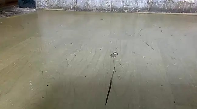 Snapshot of itstherahul chatting on 02.17.25 itstherahul online show from 02.17.25