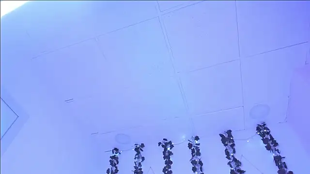 Snapshot of SophieHill_gh chatting on 01.16.25 SophieHill gh online show from 01.16.25