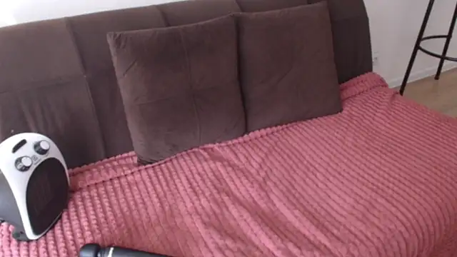 alice inspires online show from 03.15.25