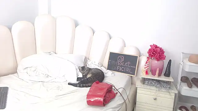 Snapshot of VioletXia_ chatting on 02.14.26 VioletXia online show from 02.14.26