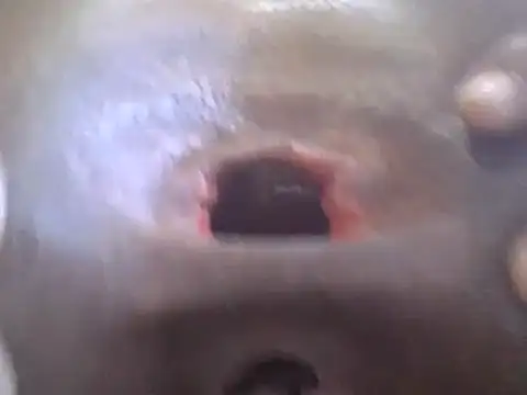 petitev online show from 01.02.25