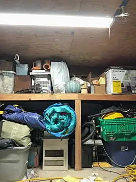 tongueispowerr6d9 online show from 07.24.26