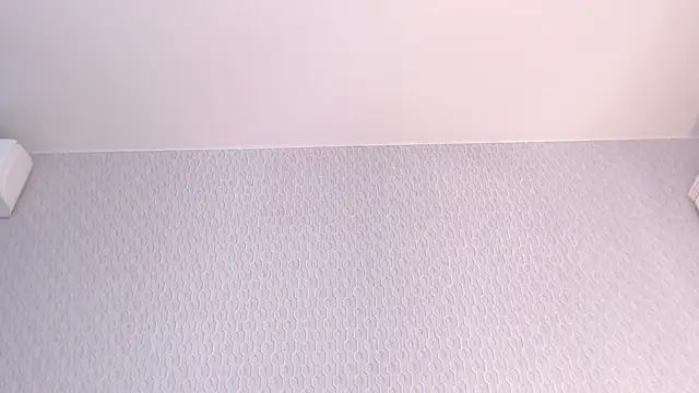 Snapshot of CERRUTI_model chatting on 03.21.25 CERRUTI model online show from 03.21.25