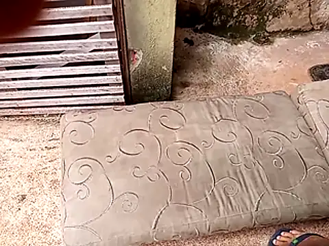 wel9238 online show from 02.25.26