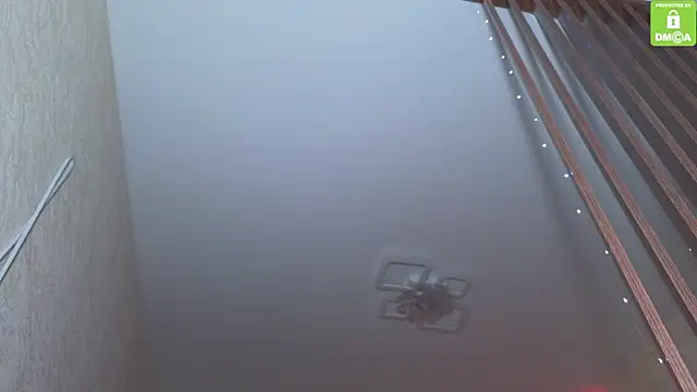 Katy perry  online show from 11.27.25