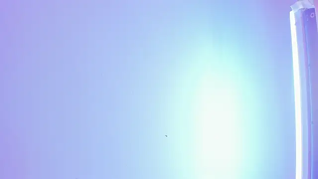 ellamontoya online show from 11.16.25