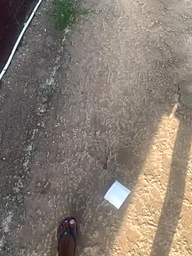 DManL online show from 11.13.25