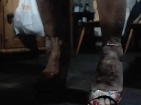 eva2023sexy online show from 02.05.26