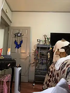 Snapshot of lezbean24 chatting on 03.11.26 lezbean24 online show from 03.11.26