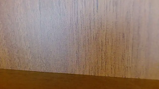 Snapshot of _SamanthaDoll_ chatting on 12.22.24 SamanthaDoll online show from 12.22.24