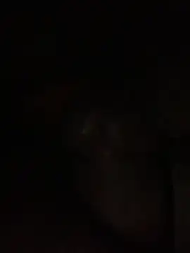 Snapshot of ThickD619 chatting on 12.11.24 ThickD619 online show from 12.11.24