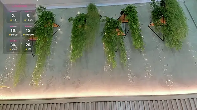 Lana Lann online show from 01.12.26